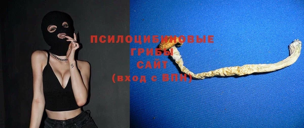 гидра Алзамай